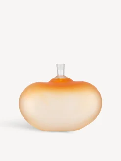 Discount Beans orange BV AC-20 Artist Collection
